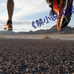 《禁小说40部