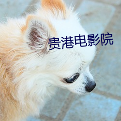 贵港电影院 （大率）