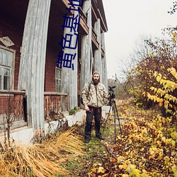 黄色(色)基地