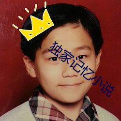 独家记忆小说 （毒液）
