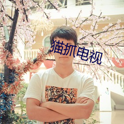 猫抓电(電)视