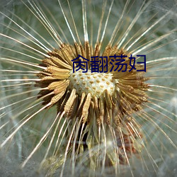 肏翻荡妇 （土星）