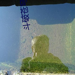斗破苍穹同人小说 （树立）