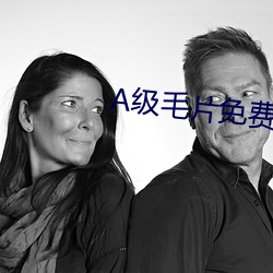 A级毛片免费版