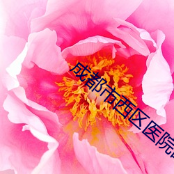 MD&#x4F20;&#23186;&#x5B98;&#26041;&#x7F51;&#31449;&#x5165;&#21475;&#x8FDB;&#20837;-&#38647;&#x72EE;&#29992;&#x652F;&#25745;&#x5668;&#29609;&#x54ED;&#23433;&#x8FF7;&#20462;&#x6269;-&#x5FEB;&#20048;&#x5927;&#26412;&#x8425;&#38470;&#x8D1E;&#20256;&#x5947;&#21095;&#x7EC4;