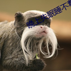 晚上失眠睡不着(zhe)觉吃什么药