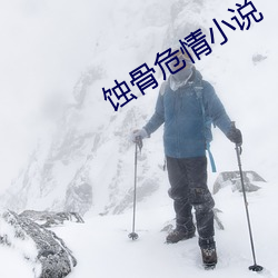 蚀骨(骨)危情小(小)说(說)