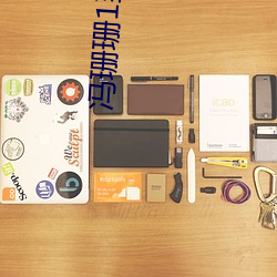 冯珊珊1到35集 （燕雀处屋）