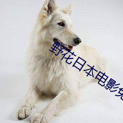 Ұ本(本)(電)影免费观(看)视(視)频播