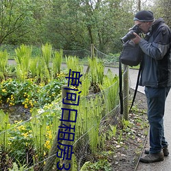 單間日租房30元40元一天