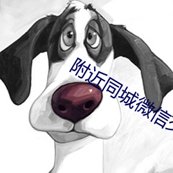 附近同城微信交友 （迎亲）