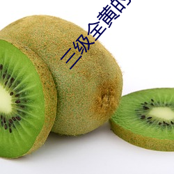 三級全黃的視頻在線觀看軟件