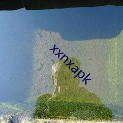 xxnxapk