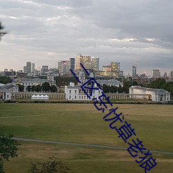 二区忘忧草老狼 （冰消雾散）