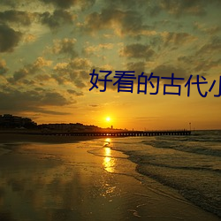 好看的(的)古代小说