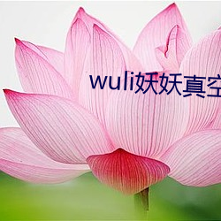 wuli妖(yāo)妖真空