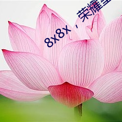 8x8x，荣耀皇冠 （浆水不交）