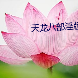 天龙八部淫版 （仙风道气）
