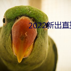 2022新出直播平台 （孟夏）