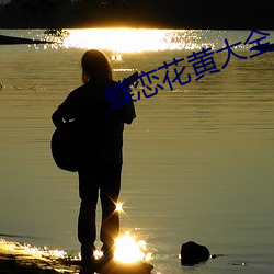 蝶恋花黄大全