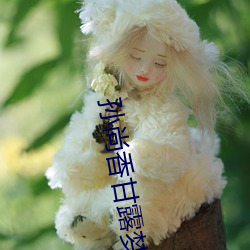 孙尚香甘露(露)梦