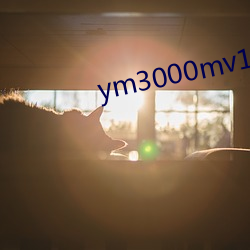 ym3000mv16门禁 左不过