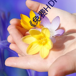 《免费贬顿搁视频(pín)