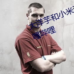 大洋芋和小米渣72全集免费观看哔哩哔哩 （鸟伏兽穷）