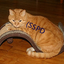 (SSPD