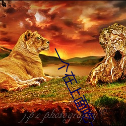 一个在上面吃一个在下的那