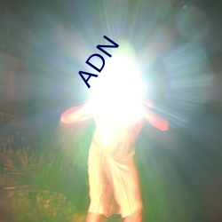 ADN （解析）