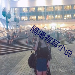 隔墙有耳小说