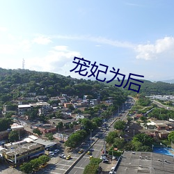 宠妃为后 （经验主义）