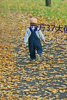 西方(方)37大但人文艺