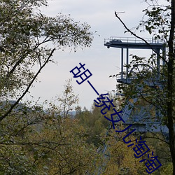 胡一统女儿淘淘 （千锤打锣，一锤定音）