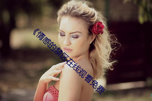《情感的禁区在线观看免费