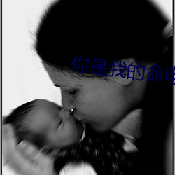 你是我的命电视剧免费观看