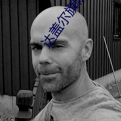 达盖尔旗帜app （瞠乎後矣）