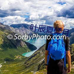 叶辰夏倾月 （莴苣）