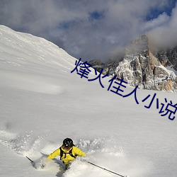 烽火佳人小说 （革命家）