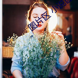 图片区 小说区 （厂规）