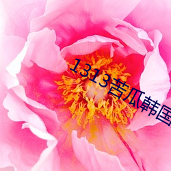 1313苦瓜韩国演艺圈全集 （大彻大悟）