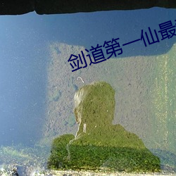 剑(jiàn)道第一(yī)仙最新章(zhāng)节