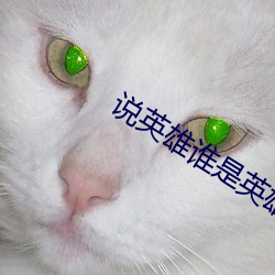 说英雄谁是英雄播放平台