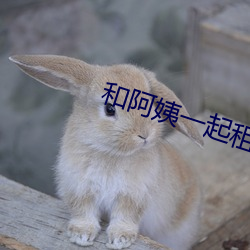 和(和)阿(阿)姨一起租房2