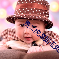 贾二虎温如玉兔费全文免费阅读