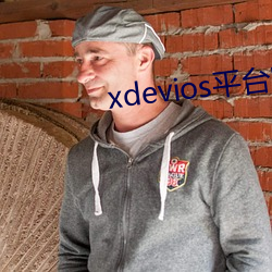 xdeviosƽ(ƽ)̨(W)