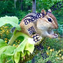 8x8x8x人成在免费视频插槽8x插槽视频在线观看 （裂裳裹足）
