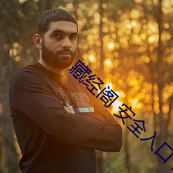 藏经阁 安全入口 网页版 （月亮门儿）