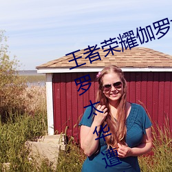 王者荣耀伽罗太华遭侵:游戏角色伽罗太华遭到恶意攻击的事